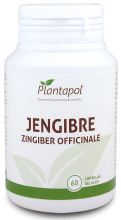 Jengibre 60 C&aacute;psulas 500 mg